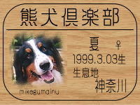 ��ނ܂��񂳂�̂g�o�ւf�n�I